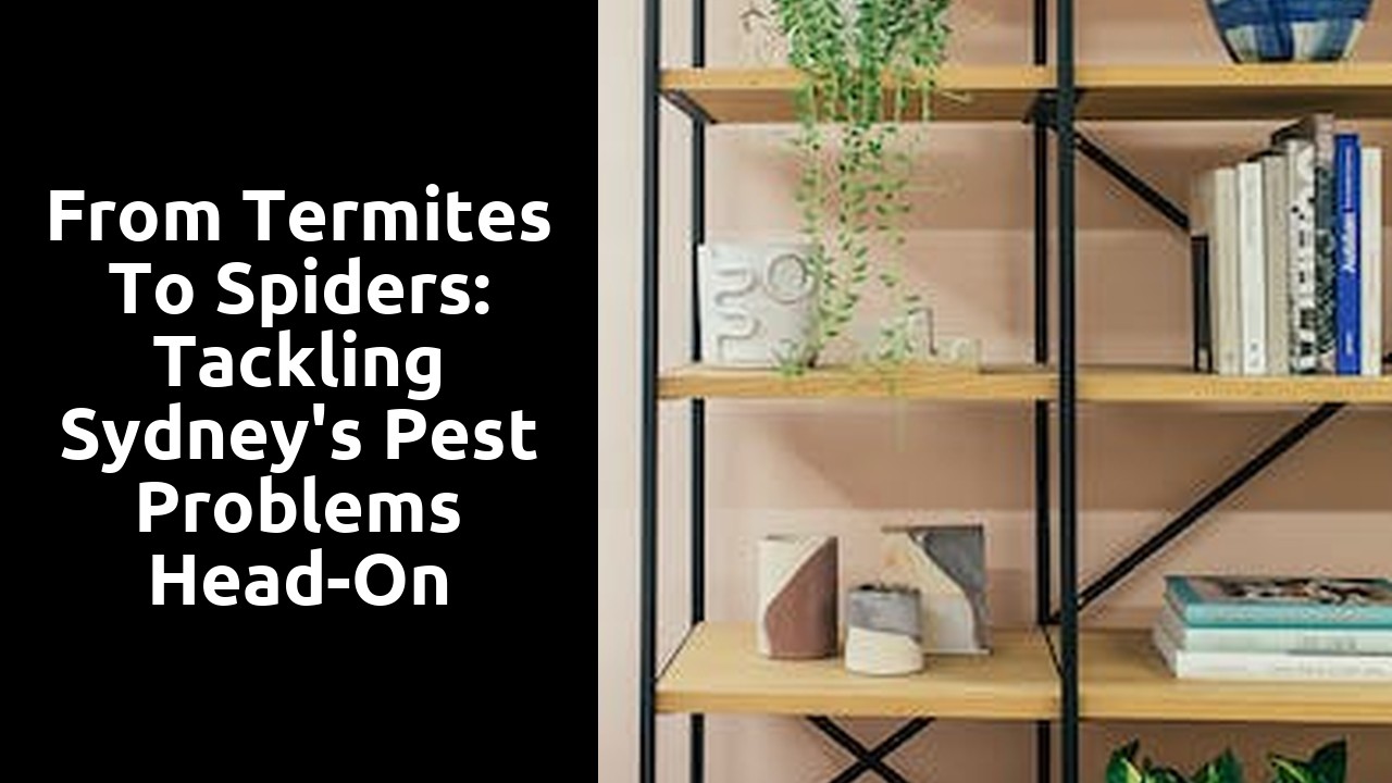 From Termites to Spiders: Tackling Sydney's Pest Problems Head-On